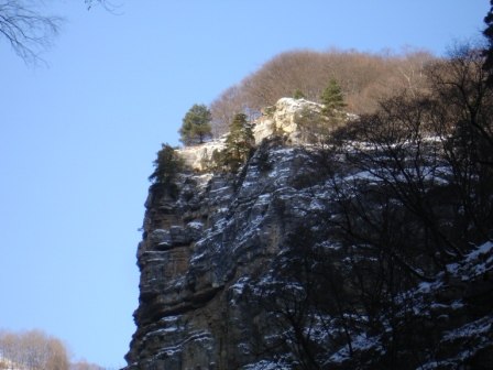 Елена Сафонова | Киров