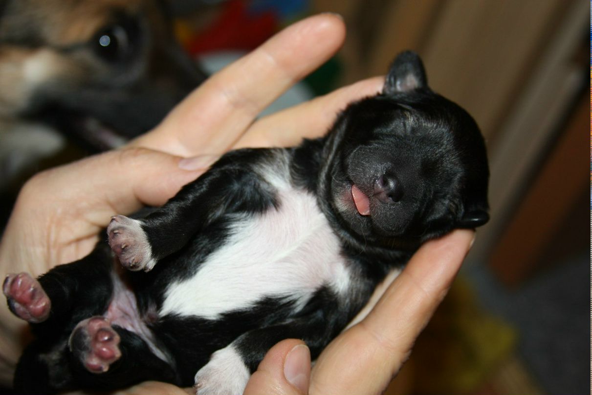 Маргарита Надыршина | Санкт-Петербург