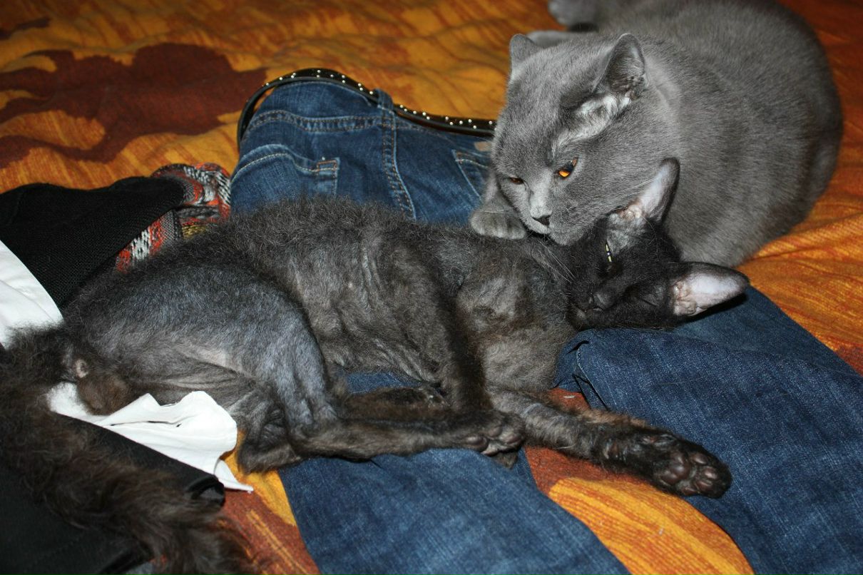 Татьяна Фатеева | Москва