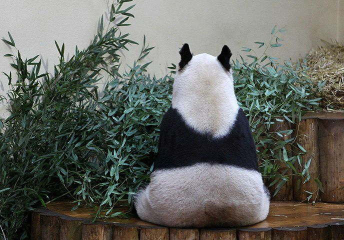 №28, Александр Бояринов №28, Александр Бояринов