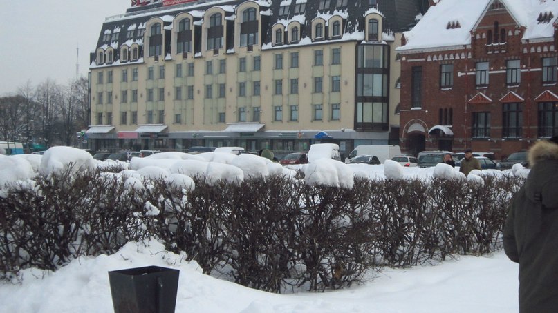 Ната Лерман | Санкт-Петербург