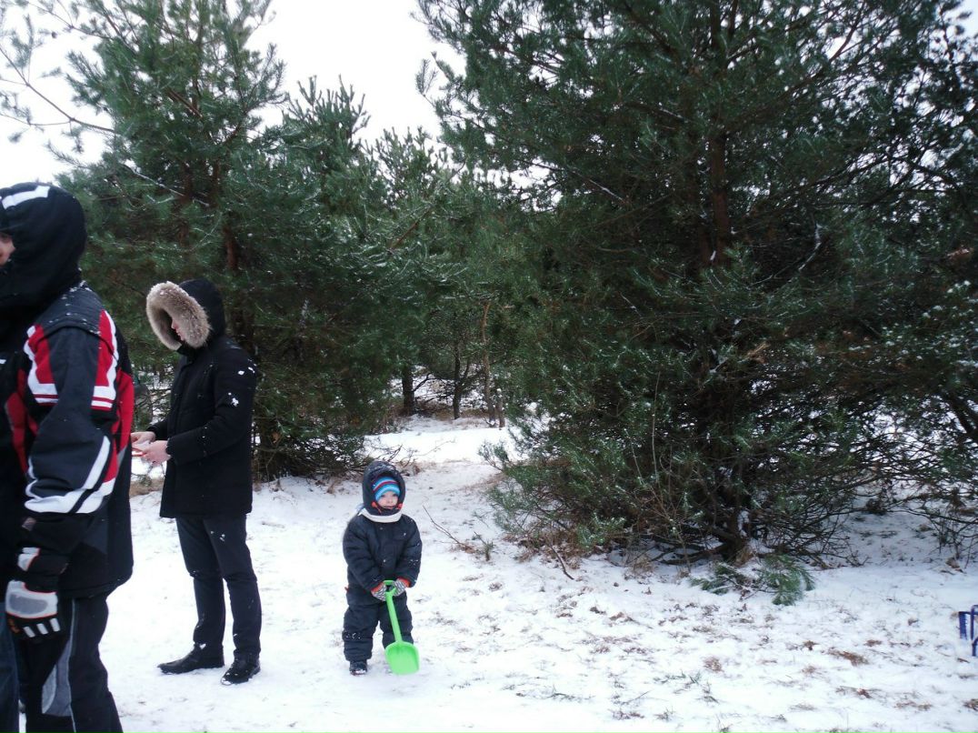 Татьяна Татошкина | Санкт-Петербург