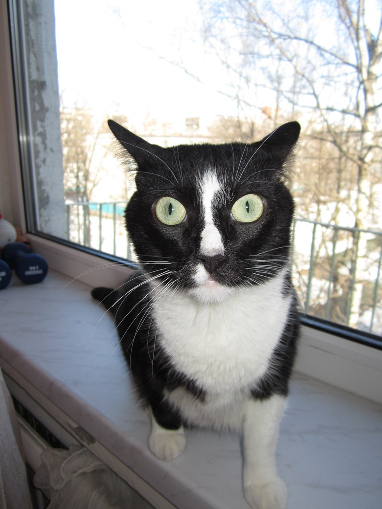 Полина Шипилова | Санкт-Петербург