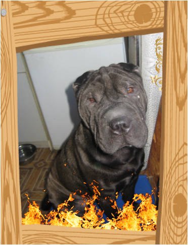 Саша Шулаков | Челябинск