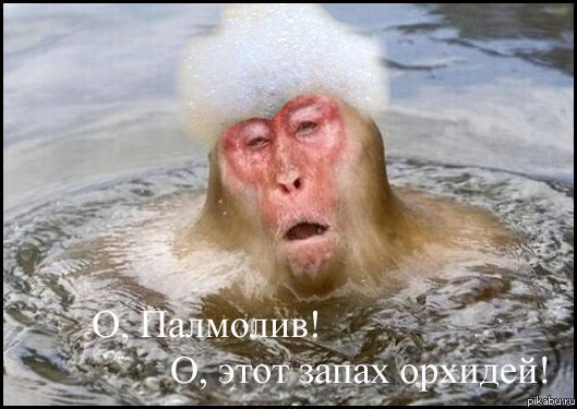 Ванес Романов ℳყ ℓiƒℯ. ℳყ ℛuℓℯs. | Шатура