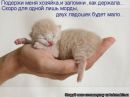 №31 Ольга Кривощёкова 05.04: профиль, фото, статус - ВКонтакте
