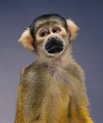 №53, Руслан Умаров, 38 лет, Грозный №53, Руслан Умаров, 38 лет, Грозный