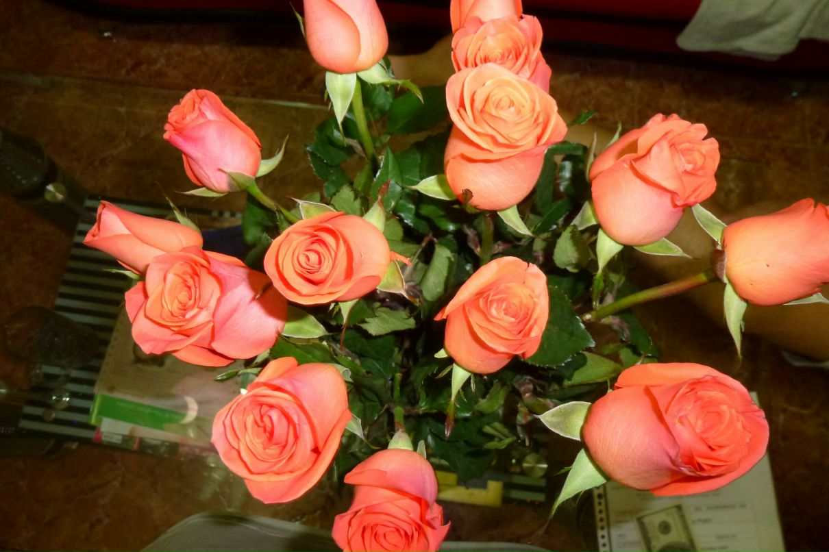 София Нестеренко | Vũng Tàu