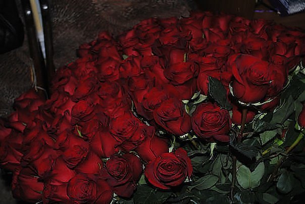 Ксюша Вакуленко | Кировское