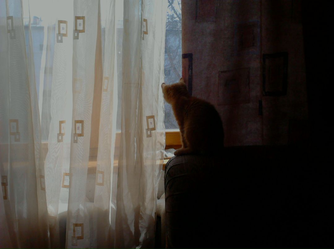 Алексей Нечепуренко | 