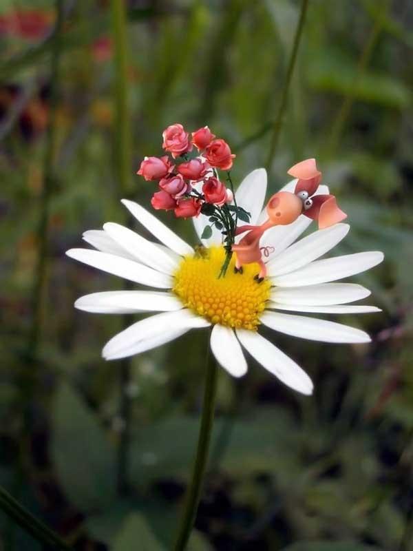 Никита Хасанов | Люберцы