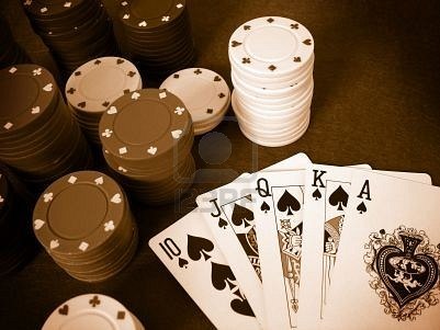 Дарья Камолова | 