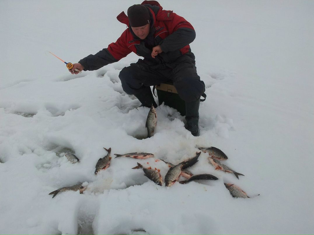 Александр Прохоров Владимирович | Вологда