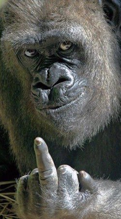 Юрий Сабуров ♥♥♥ Ş ᾃ ϐ ῦ ₱  ♥♥♥ | Заволжье