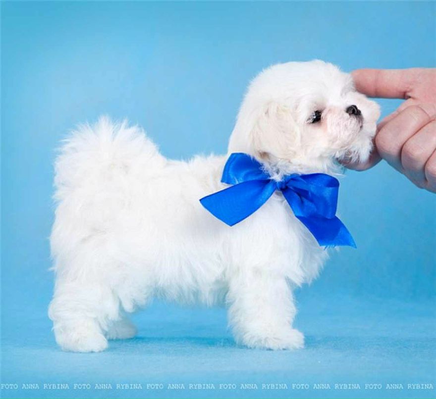 Ириша Соколова ♥♫ | Москва