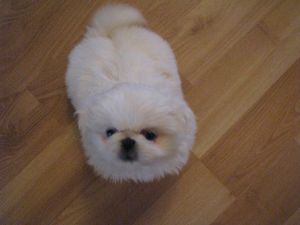 Ирина Гнатюк | Киев