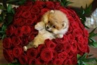 №15, Юлианна Кондратович, 17.7.1989, 36 лет, Минск, Беларусь