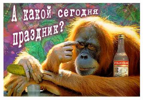 Юля Капелюшок | Киев