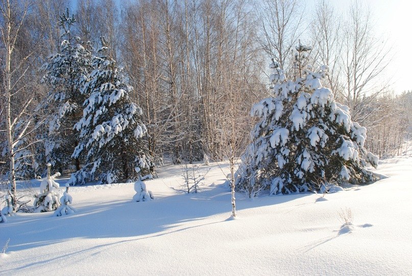 Виктор Перелыгин | Москва