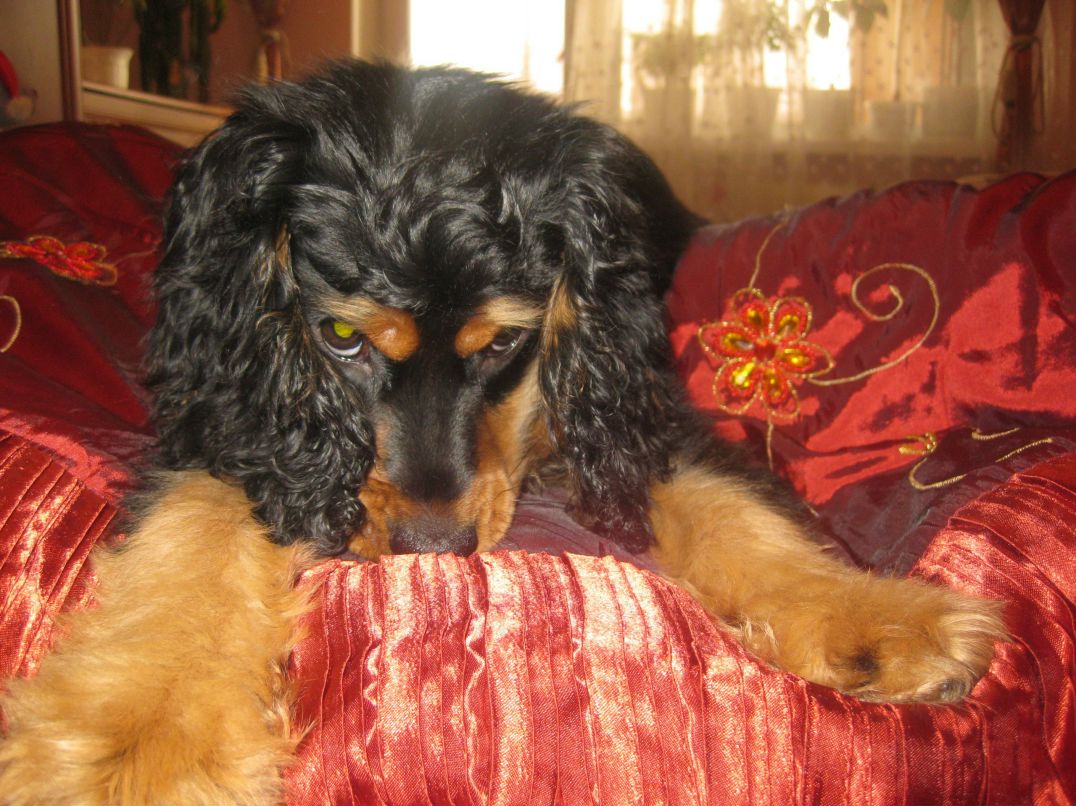 Nastya Rudkovska | Хмельницкий