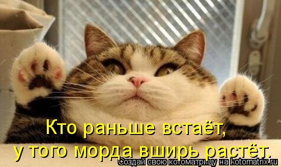 Исахан Алисой | Сургут