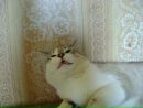 №2 Оля Данилова : профиль, фото, статус - ВКонтакте
