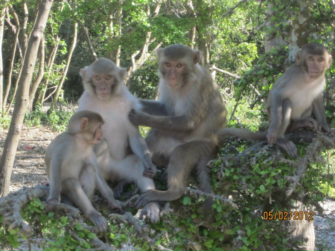Геннадий Бычаев | Анива