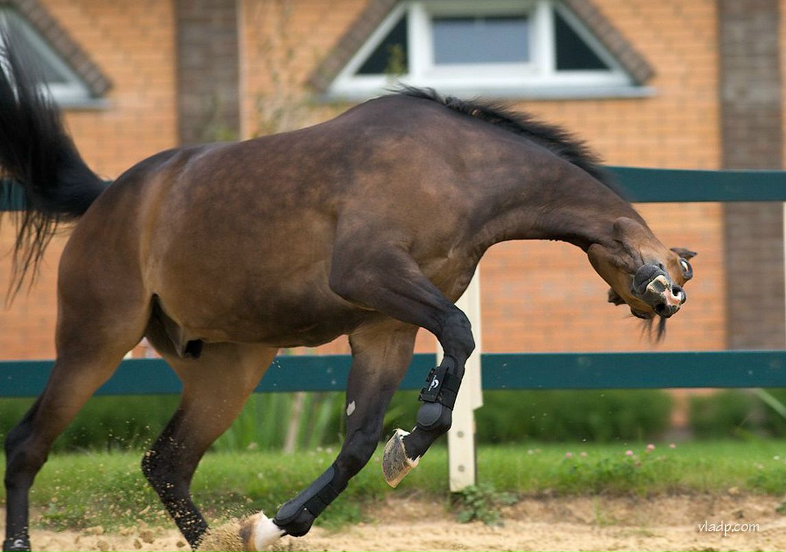 Игнат Соболев | Екатеринбург