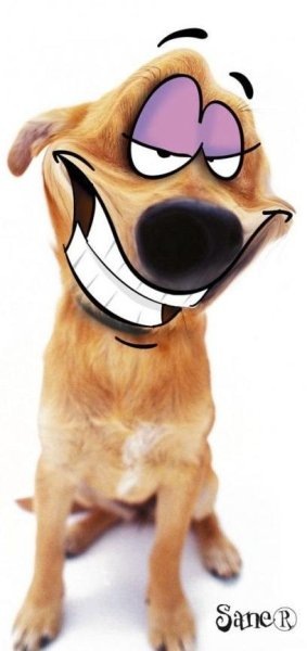 №1, Максим Бондарев №1, Максим Бондарев