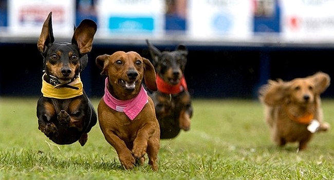 Александра Стойнова | Москва