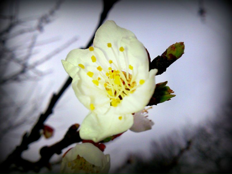 Ленчик Влюбленная | Одесса