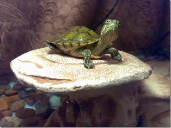 №8, Денис Марушин, Харьков №8, Денис Марушин, Харьков