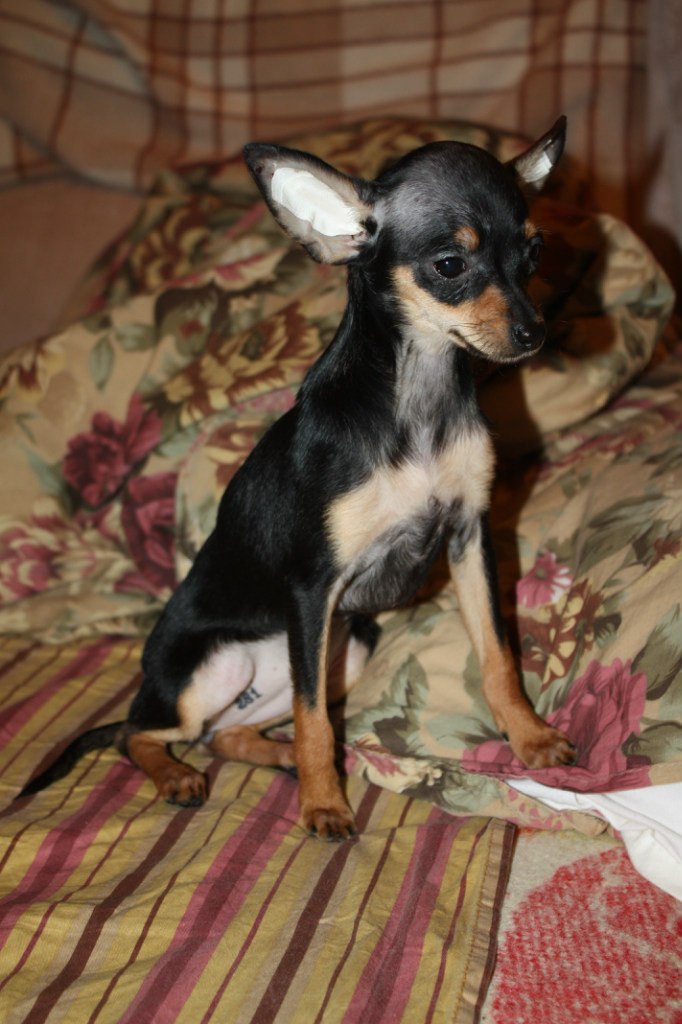 Oksana Pasechnik | Санкт-Петербург