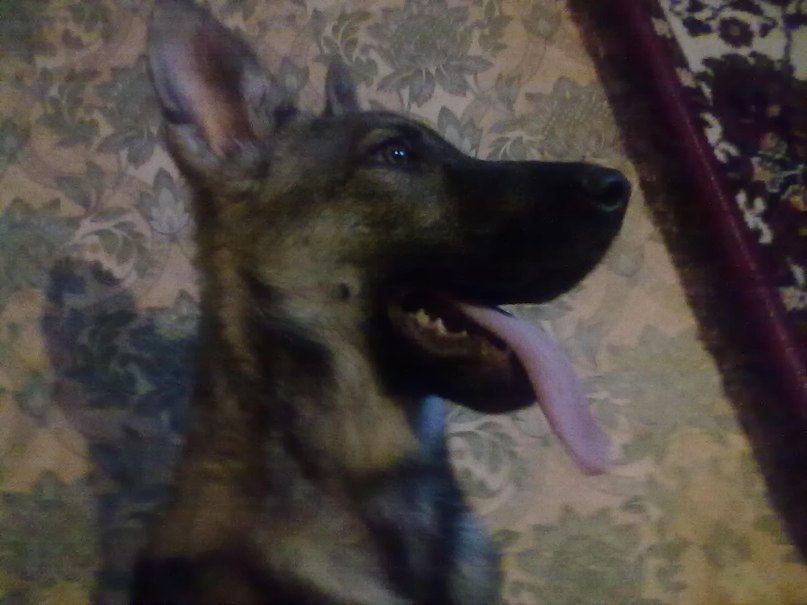 Паша Смирнов LjGB | Санкт-Петербург