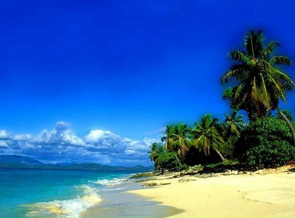 Маргарита Шаврина фото профиля #3