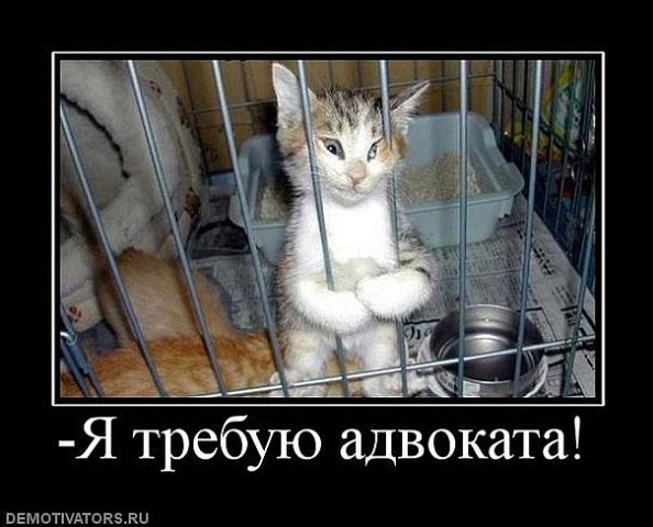 Татьяна Максимова | Санкт-Петербург