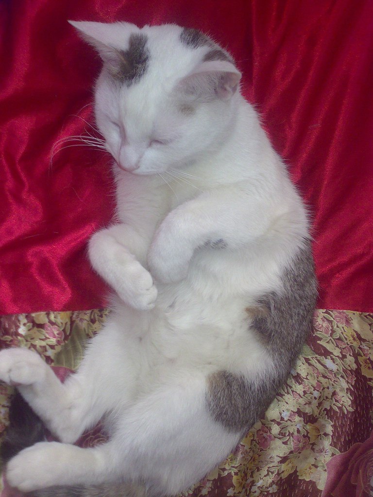 Тарлан Миркамиров Миркамирович | Санкт-Петербург