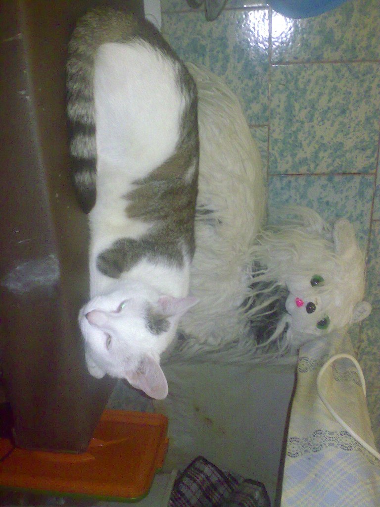 Тарлан Миркамиров Миркамирович | Санкт-Петербург