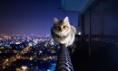 №9 Артем Филатов