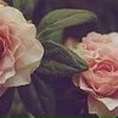 Ангелина Рослова ♥Greeneyes_Angel♥ | Москва