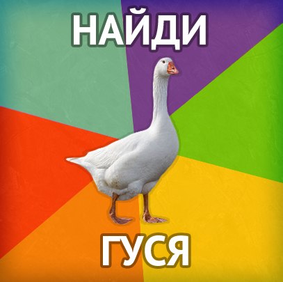 Никита Бабиков | Москва