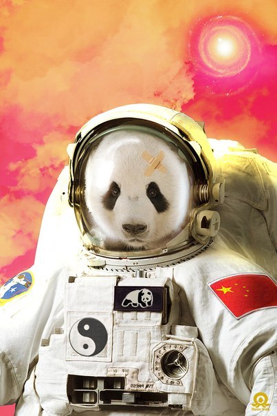 Никита Розов | 