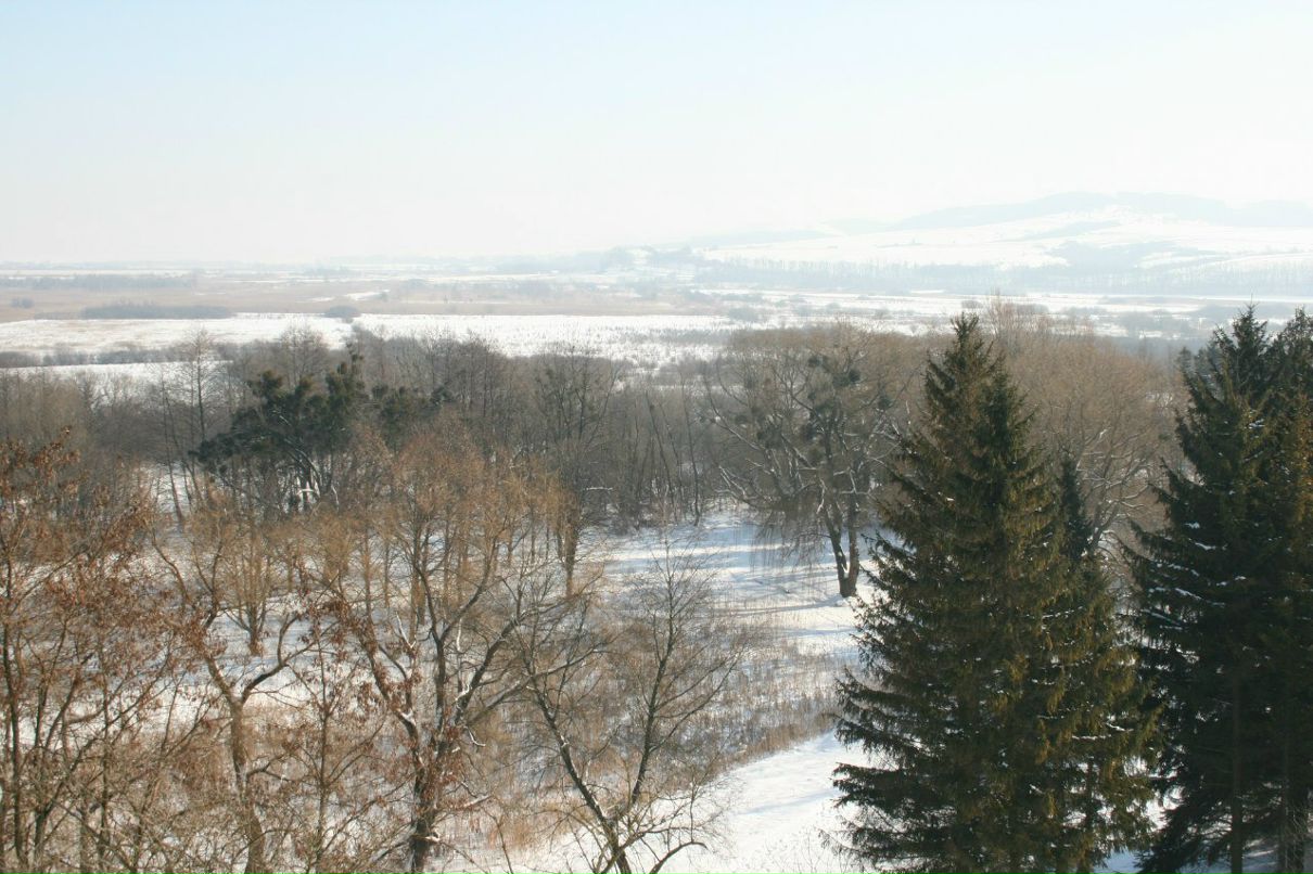 Ира Витковская | Киев