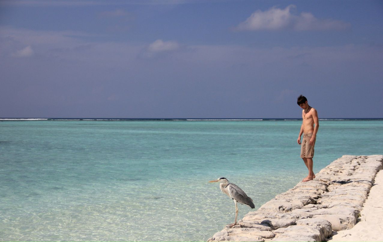 Алексей Кузнецов | Нижний Новгород