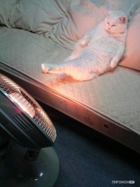 Димка Кучеров ♠♣♥♦ | Запорожье