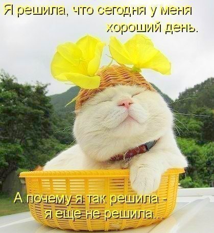 Анна Медведева | Вологда