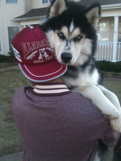 Катя Терезюк | Санкт-Петербург