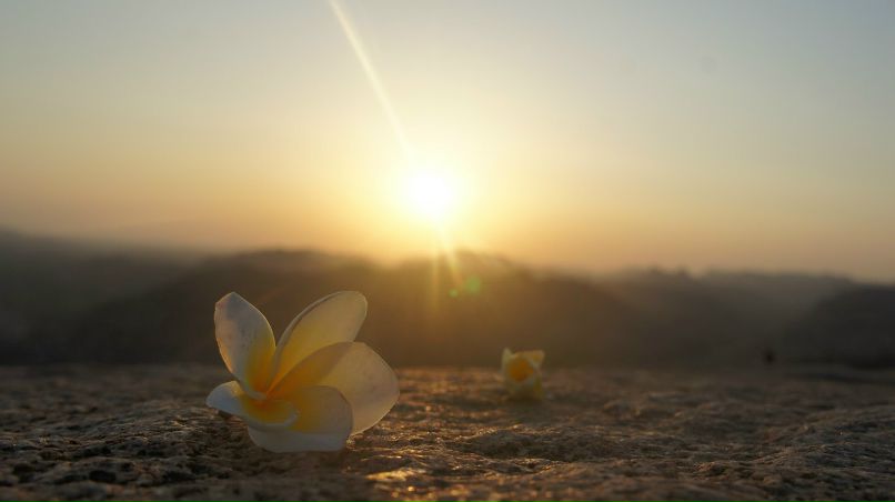 Дарья Юскаева | Омск