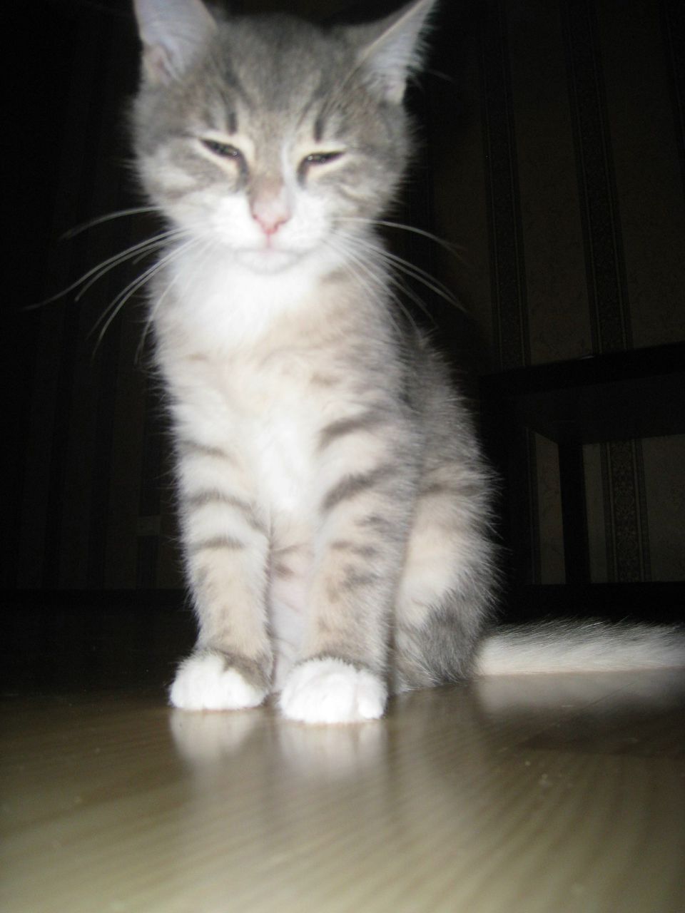 Сергей Шляхтин | Челябинск