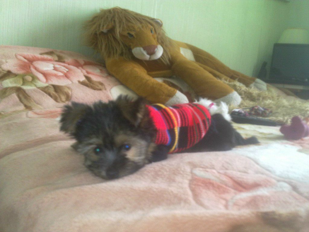 Наталья Умерова | Москва